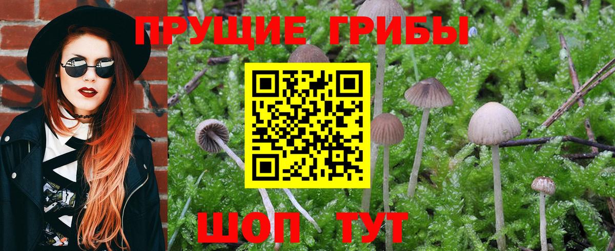 Псилоцибиновые грибы мухоморы  Вход с VPN  где можно купить   Мурино 