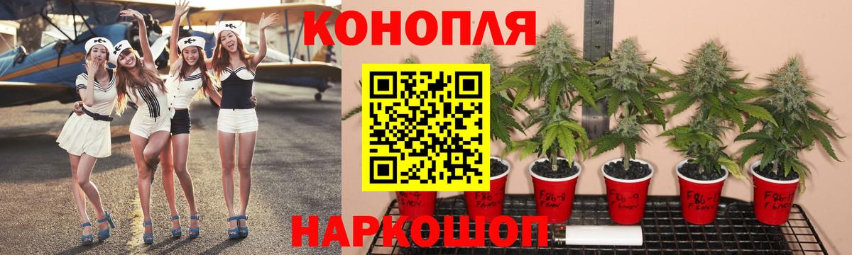 Бошки марихуана Amnesia Мурино